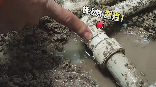 irudia-11